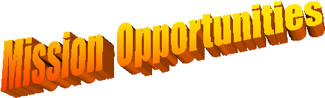 Mission  Opportunities
